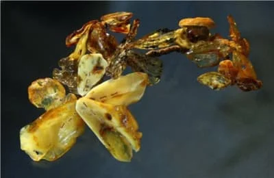 E8c4a664fa4cf4c8ae026ba2b433cf60 c3e