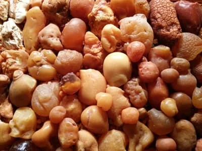 Bursztyn należy do właściciela działki, na której się znajduje