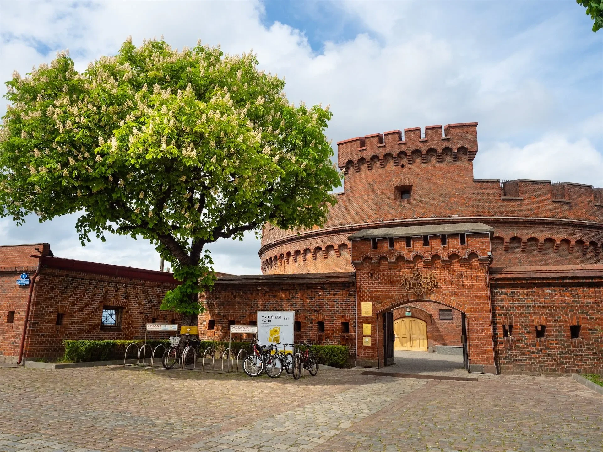 Muzeum kaliningradzkie