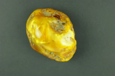 Muzeum przyrodnicze brylka