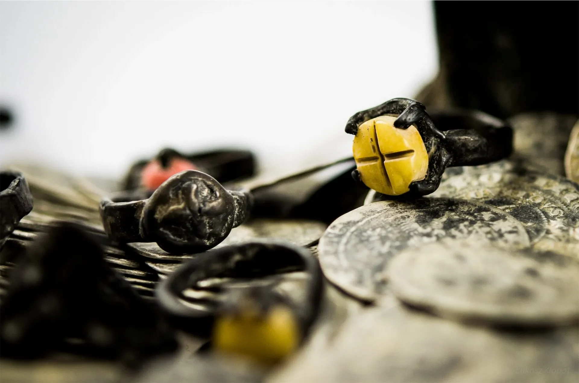 Muzeum przyrodnicze skarb