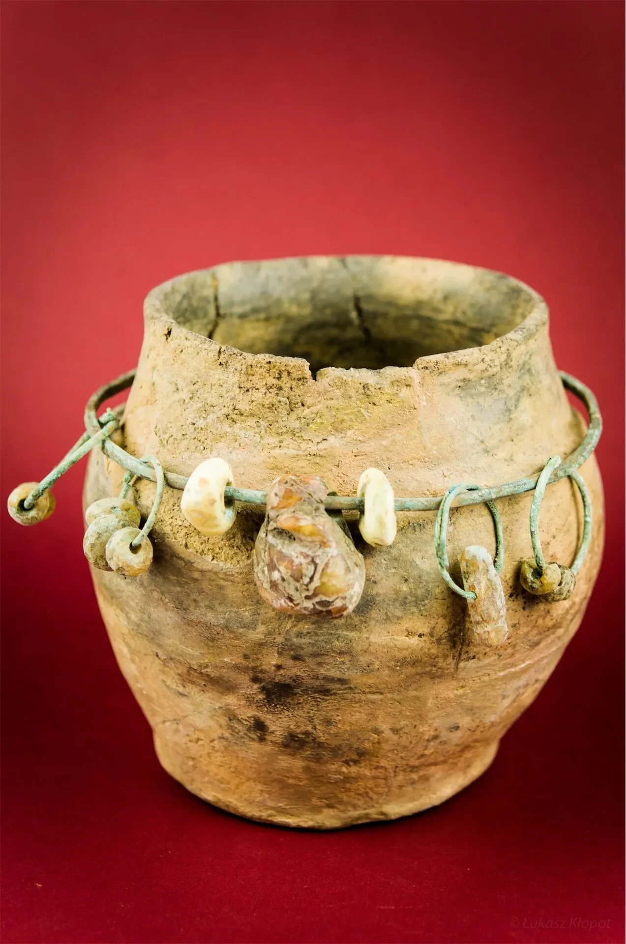 Muzeum przyrodnicze urna