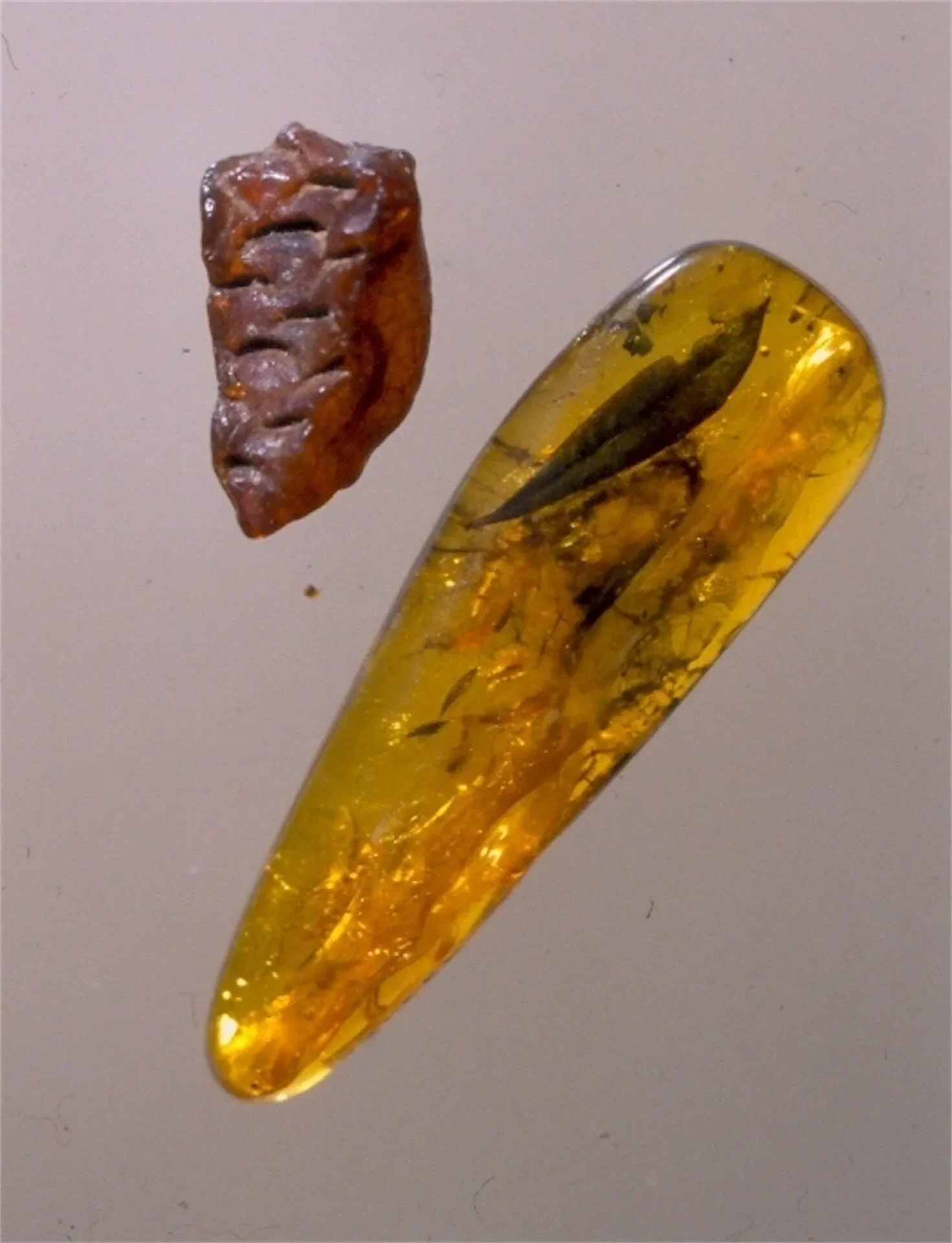 Impression of a pinecone