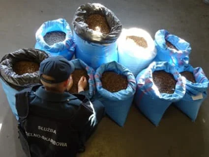 Przemyt bursztynu 75d